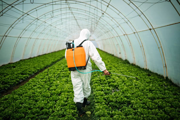 Best Pest Control Near Me  in Newport, WA