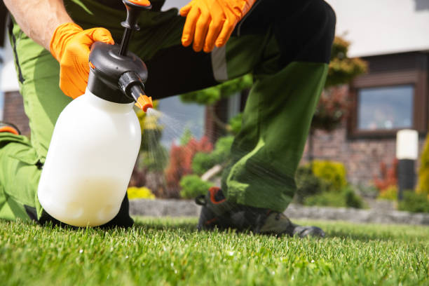 Best Commercial Pest Control Services  in Newport, WA